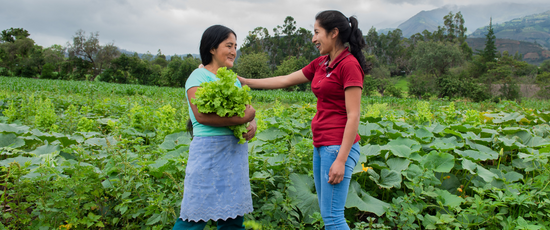 Dos mujeres se saludan en un campo de Perú