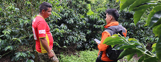 Imagen de dos hombres hablando en una plantación.